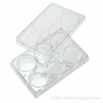 PS 6 Holes Laboratory Tissue Culture Plate